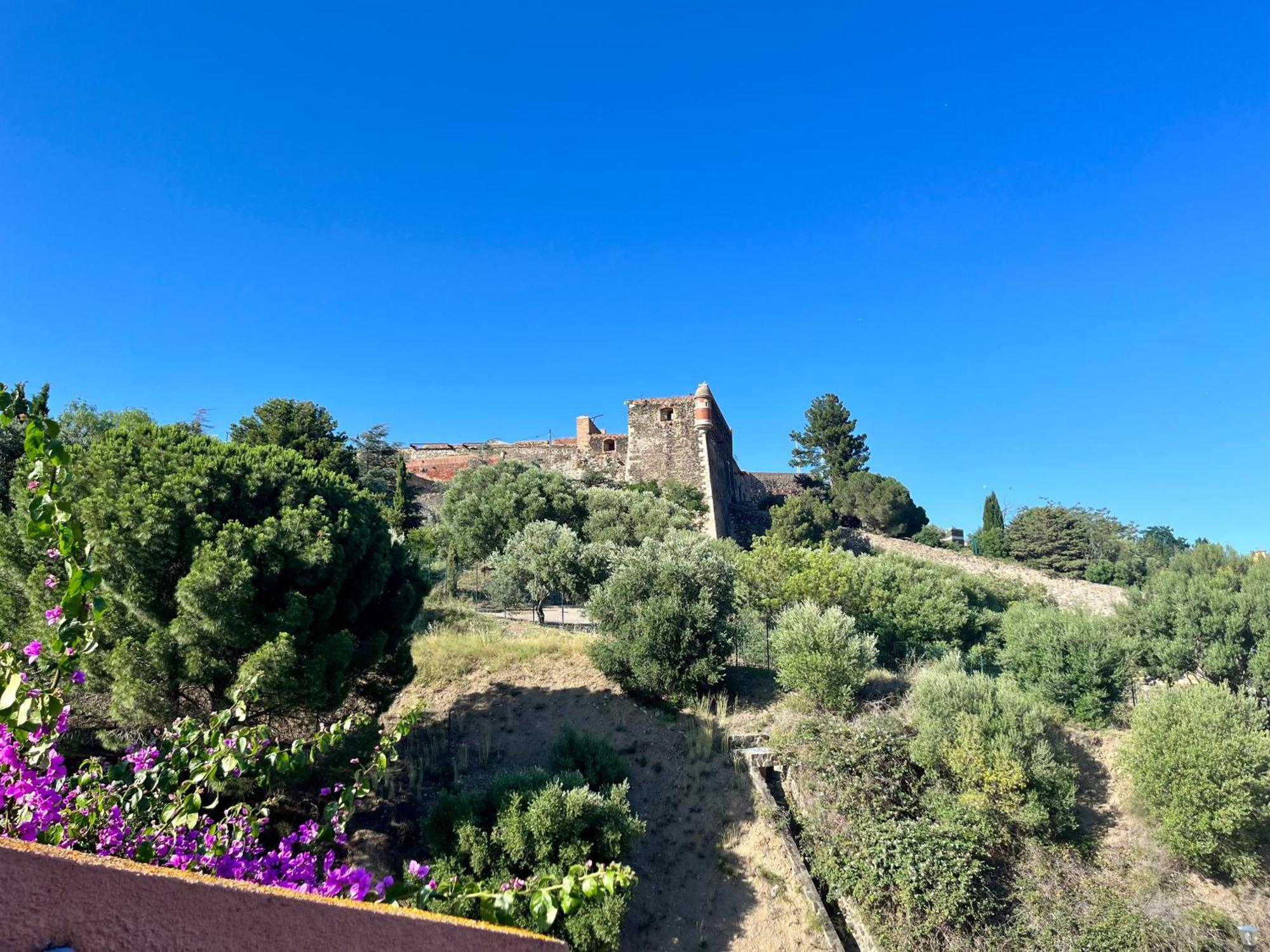 Appartement Collioure, Grande Terrasse Et Parking エクステリア 写真
