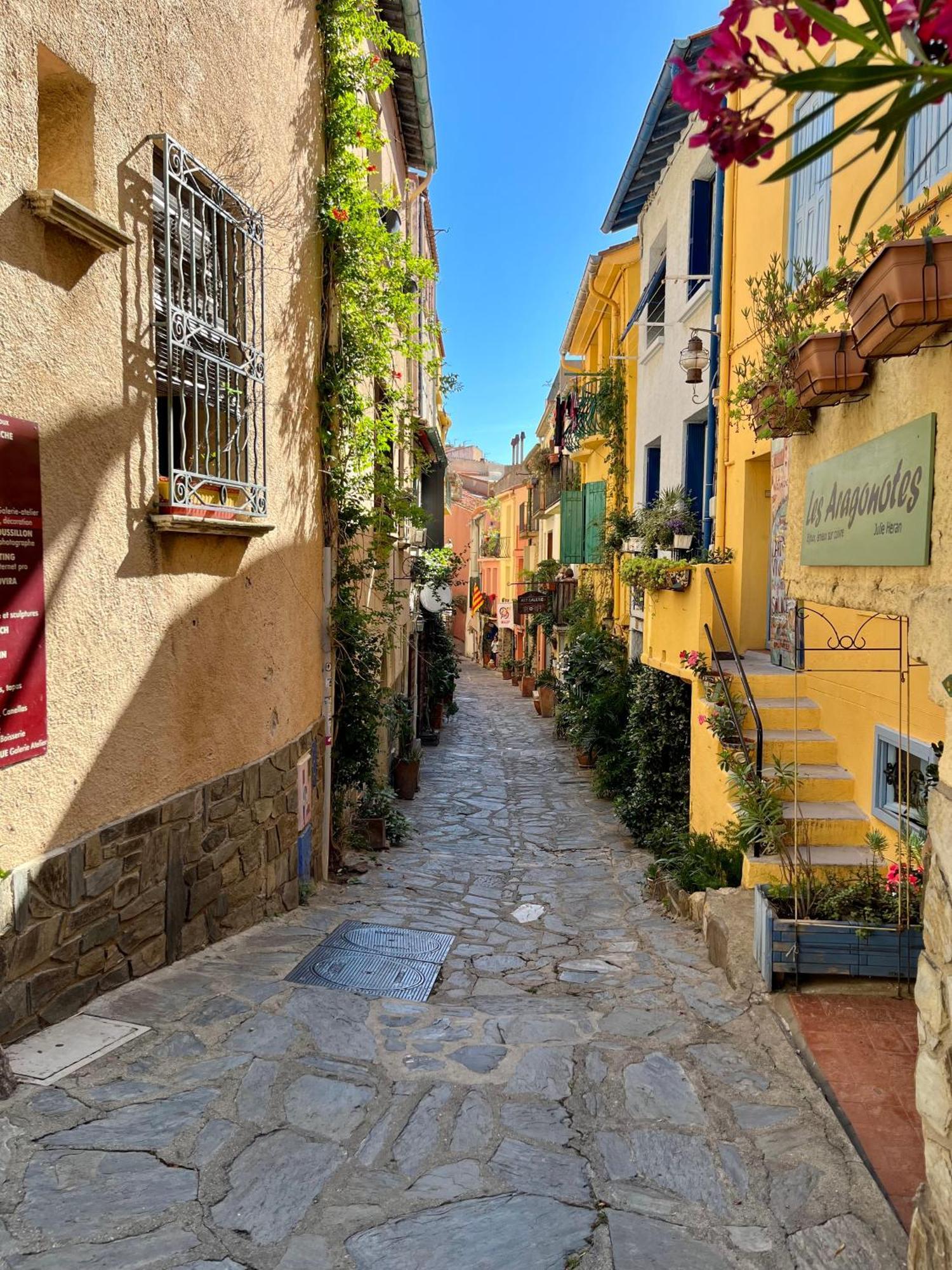 Appartement Collioure, Grande Terrasse Et Parking エクステリア 写真